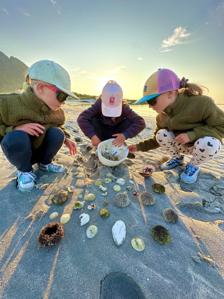 Three children finding gems on a beach in Lofoten. Explore the Lofoten islands with your family