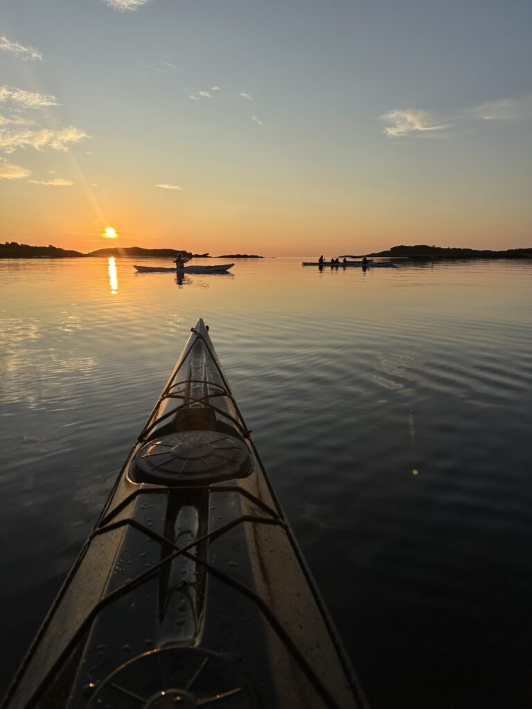 Midnight sun kayaking in Lofoten was the highlight of our trip